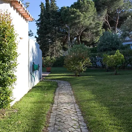 Feriehus Flh Balaia Garden House Albufeira